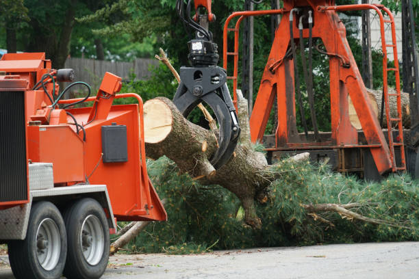 Mulching Services in Cornell, WI